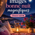 Image d'un paysage nocturne apaisant avec des étoiles brillantes, symbolisant une bonne nuit.