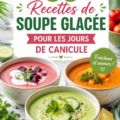 Plat de soupes glacées colorées sur une table d'été.